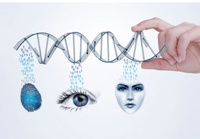 塞伯羅斯門禁系統(tǒng)生物識別技術